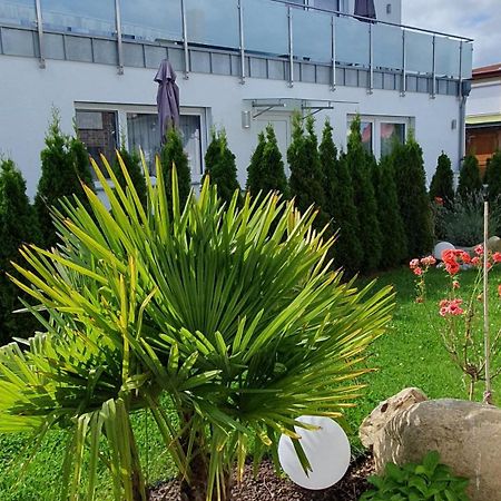 Ferienwohnungen "Godewind", Appartements Mit Balkon Oder Terrasse Zinnowitz Exterior foto